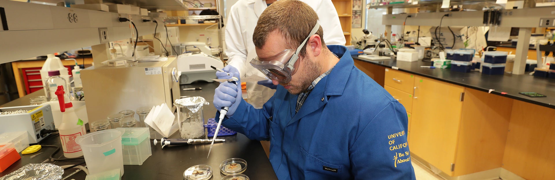 Jake looking at maggots with Undergraduate Student (c) UCR / CNAS