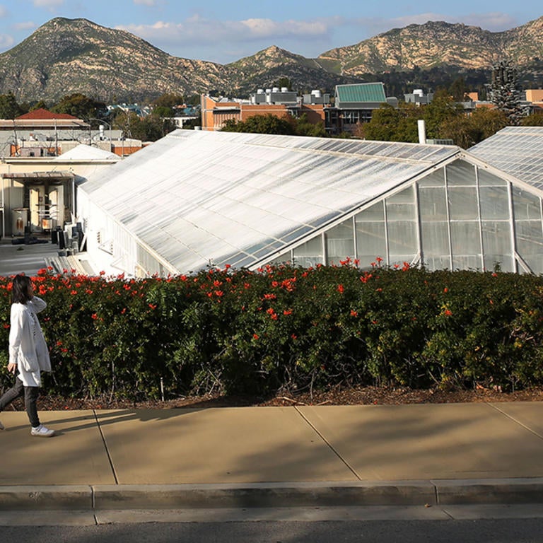 greenhouses with girl walking (c) UCR / CNAS