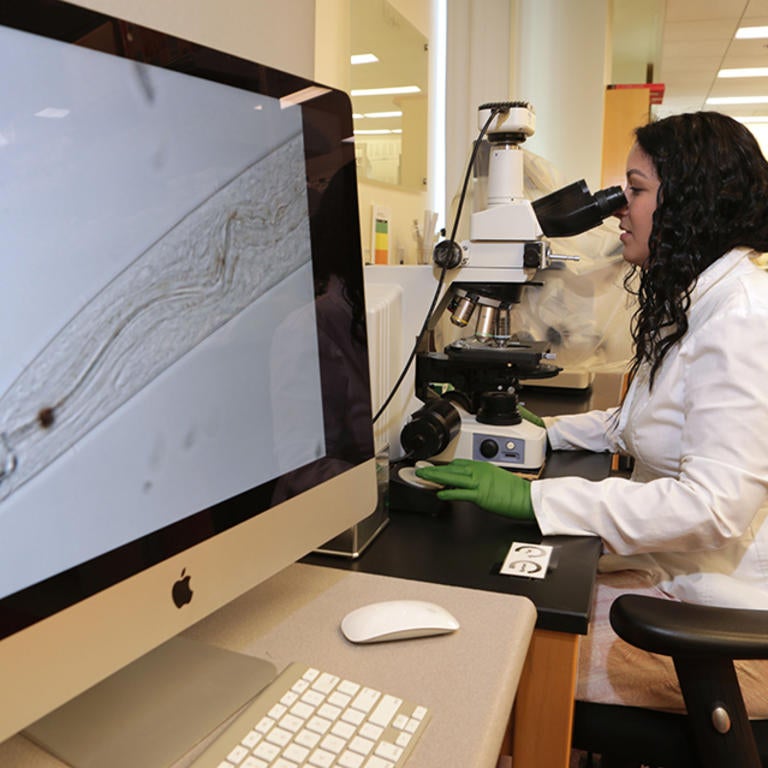 Mirayana on computer looking at a nematode (c) UCR / CNAS