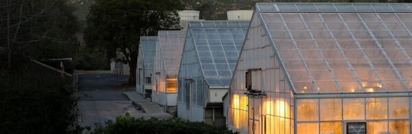 Greenhouse at night