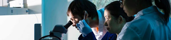 Students in the lab looking at slides and through a microscope (c) unsplash